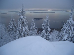 Koli         